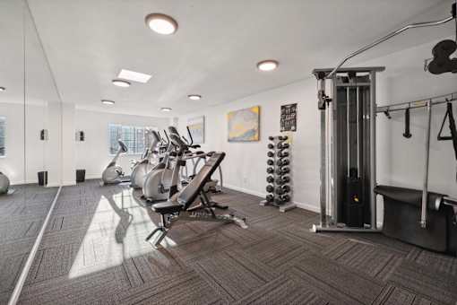 A gym with a variety of equipment including weights and a treadmill.