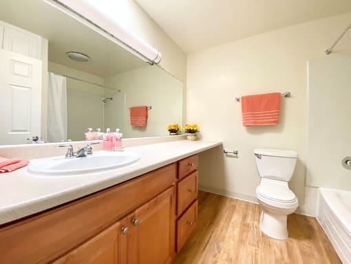 Spa Inspired Bathroom at Diablo Pointe, Walnut Creek, CA, 94596