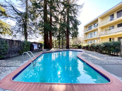 Swimming Pool at The Morgan, Lafayette, California
