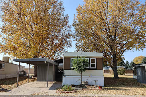 the exterior of a tiny house with two trees at Circle Park, Cheyenne, Wyoming