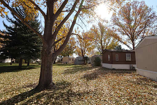 Yard at Circle Park, Wyoming