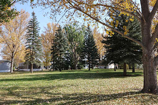 a park with trees and grass in front of a house at Circle Park, Wyoming, 82007