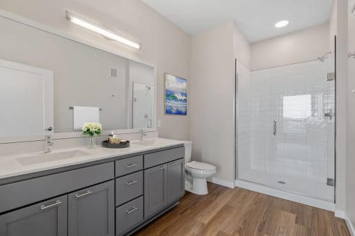a bathroom with a sink and a toilet and a shower