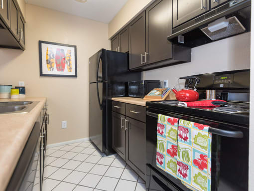Updated Kitchen With Black Appliances at Reflection Cove Apartments in Missouri, 63021