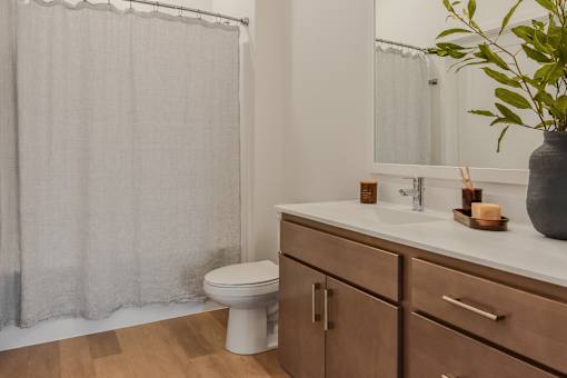 A bathroom with a toilet, sink, and a plant.