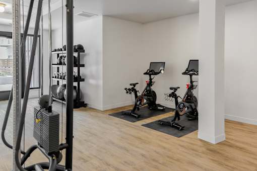 A gym with a row of stationary bikes and a treadmill.