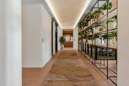 A long hallway with a rug on the floor and plants on the shelves.
