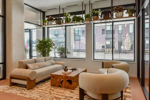 A living room with a couch, chair, and potted plants.