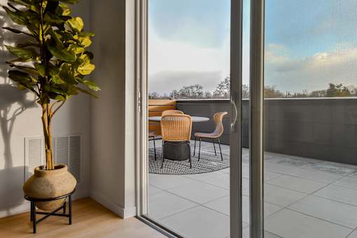A room with a plant in a pot and a chair set outside.