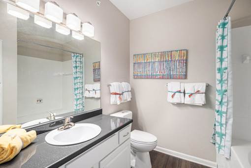 A bathroom with a sink, toilet, and a mirror.