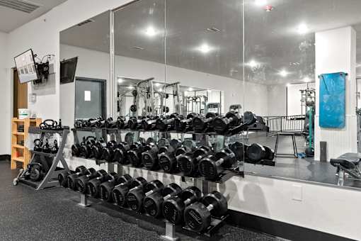 A gym with a mirrored wall and a rack of dumbbells.