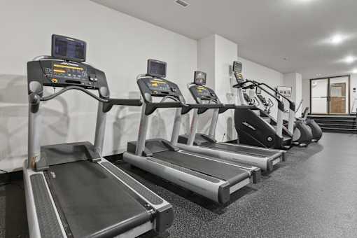 A row of treadmills in a gym.