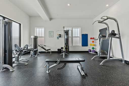 A gym with a variety of equipment including a treadmill, weights, and a bench press.