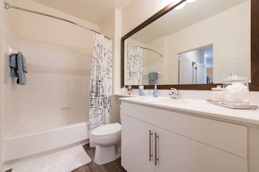 Bathroom at The Flats at Wheaton Station in Wheaton, MD