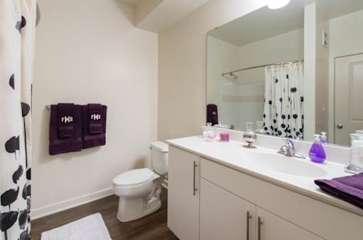 Bathroom at The Flats at Wheaton Station in Wheaton, MD