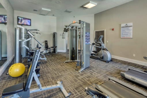 Gym with a Variety of Equipment at Rivertree Apartments, Riverview