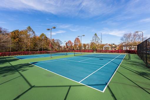 Tennis court