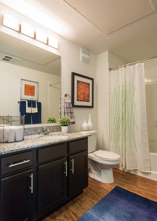 Bathroom interior at Arterra Place Apartments, Aurora, CO