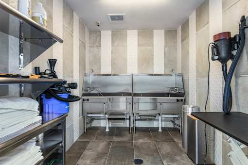 Pet Wash at Centre Pointe Apartments, Florida
