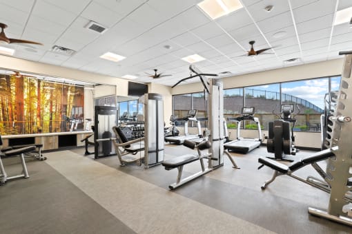 a large fitness room with treadmills and other exercise equipment