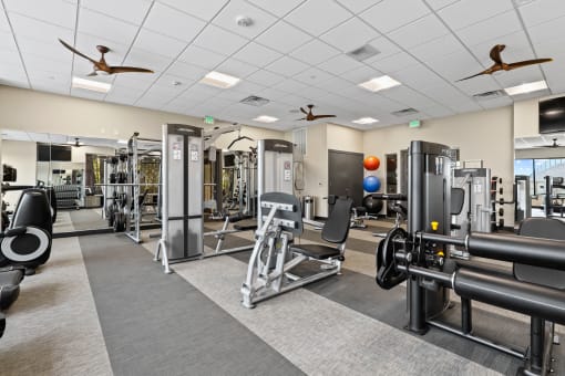 a large fitness room with cardio equipment and weights