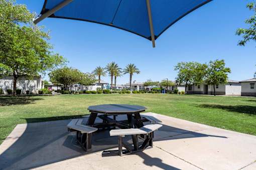 Shaded picnic area with grass lawn at Vistoria On Mountain View Apartments, Surprise, AZ