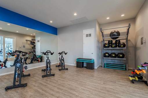 A room with a blue stripe on the wall and a row of exercise bikes.