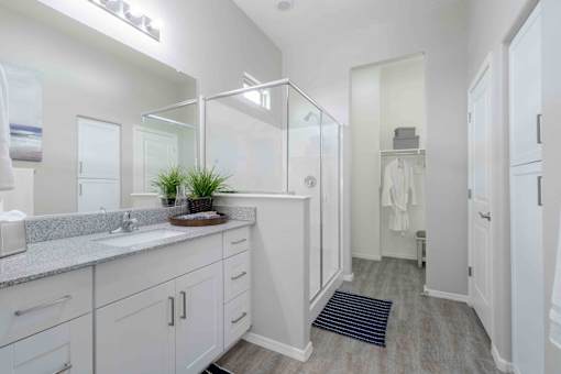 A bathroom with a sink, mirror, and a plant on the counter. at Vistoria At Country Place Apartments, Tolleson, AZ, 85353