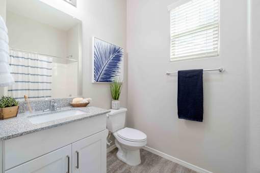 A bathroom with a white toilet, a sink with a counter, a towel rack, and a plant. at Vistoria At Country Place Apartments, Tolleson, 85353