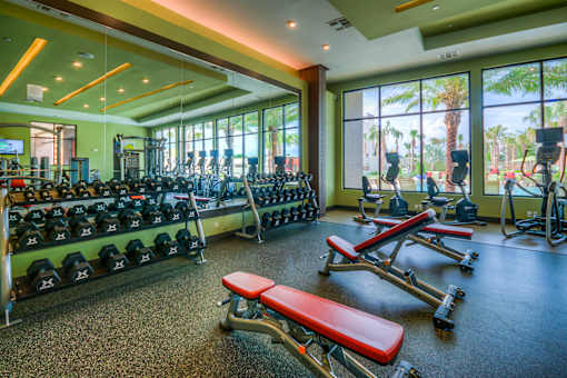 Free Weights In Gym at The Strand, Oviedo, 32765
