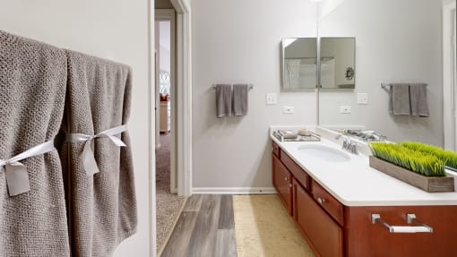 a bathroom with a sink and a mirror and a towel rack