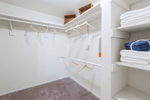 Walk-In Closet at Northgreen at Carrollwood Apartments in Tampa, FL
