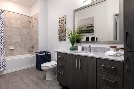 a bathroom with a toilet and a large mirror at Enclave at 3230 Apartments, South Daytona