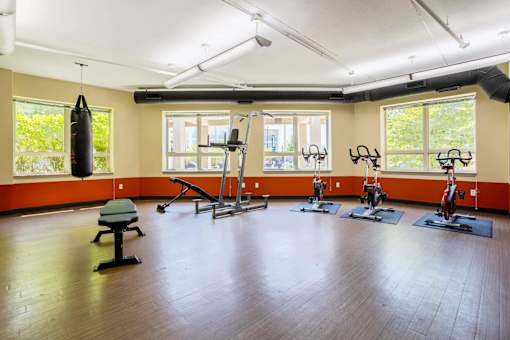 Gym at Wheaton 121, Illinois, 60187