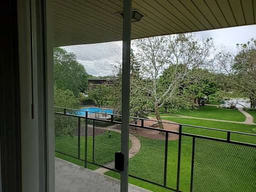 A view from a window looking out to a pool and a green lawn.