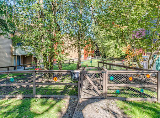 Dog Park at The Village at Seeley Lake