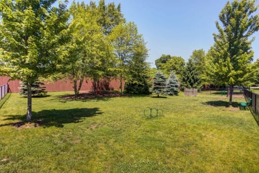 Dog park