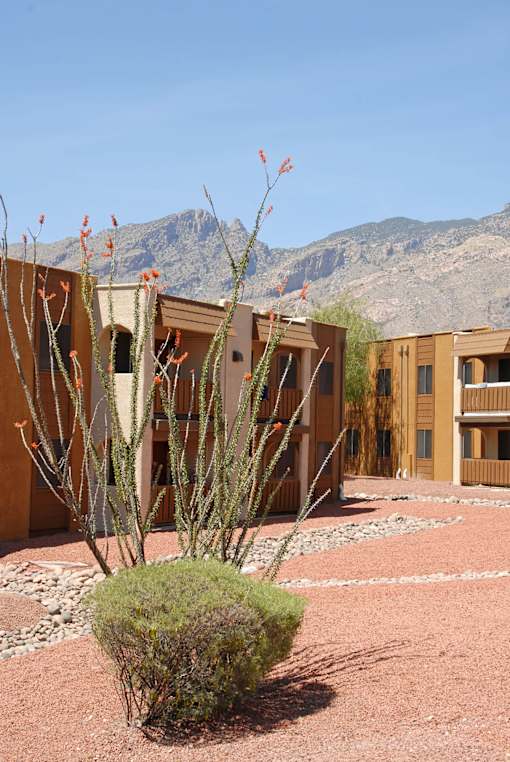 Courtyard View at Elevation Apartments, Tucson, Arizona
