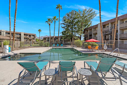 Pool with Loungers and Palm Trees at Verde Apartments, Tucson, AZ