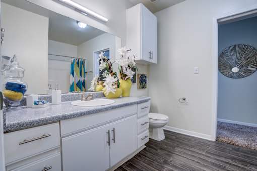 A bathroom with a white sink and a white toilet.at Metro 5514, Texas, 77021