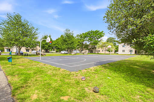 A basketball court is surrounded by grass and trees.