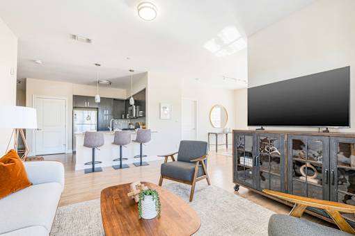 Living Area With TV at Axis at Lakeshore, Bridgewater, Massachusetts