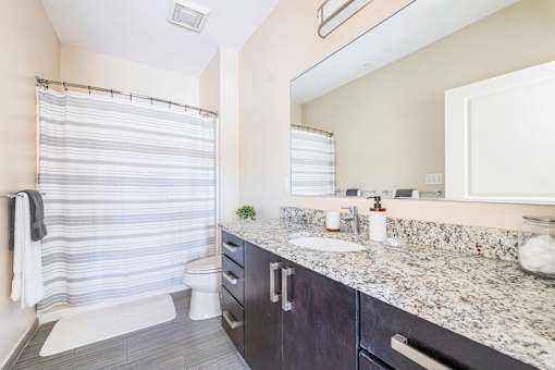 Bathroom Countertop at Axis at Lakeshore, Bridgewater, 02324