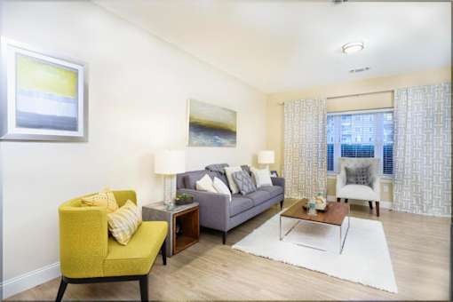 A living room with a yellow chair and a grey couch at Axis at Lakeshore Apartments, Bridgewater
