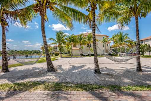 A beach scene with palm trees and a hammock.