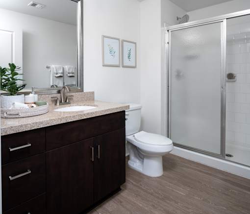 A bathroom with a white toilet and a walk-in shower.