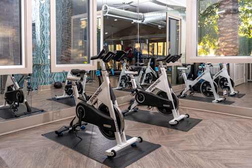 A gym with stationary bikes and mirrors.