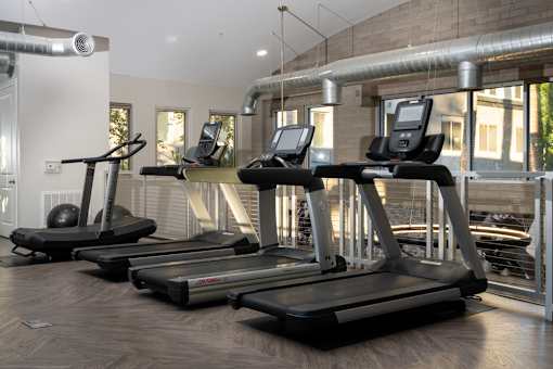 Three treadmills are lined up in a row in a gym.