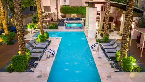 A swimming pool surrounded by palm trees and lounge chairs.