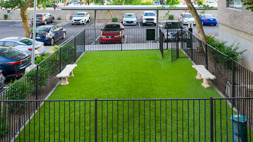 A black fence surrounds a green lawn.